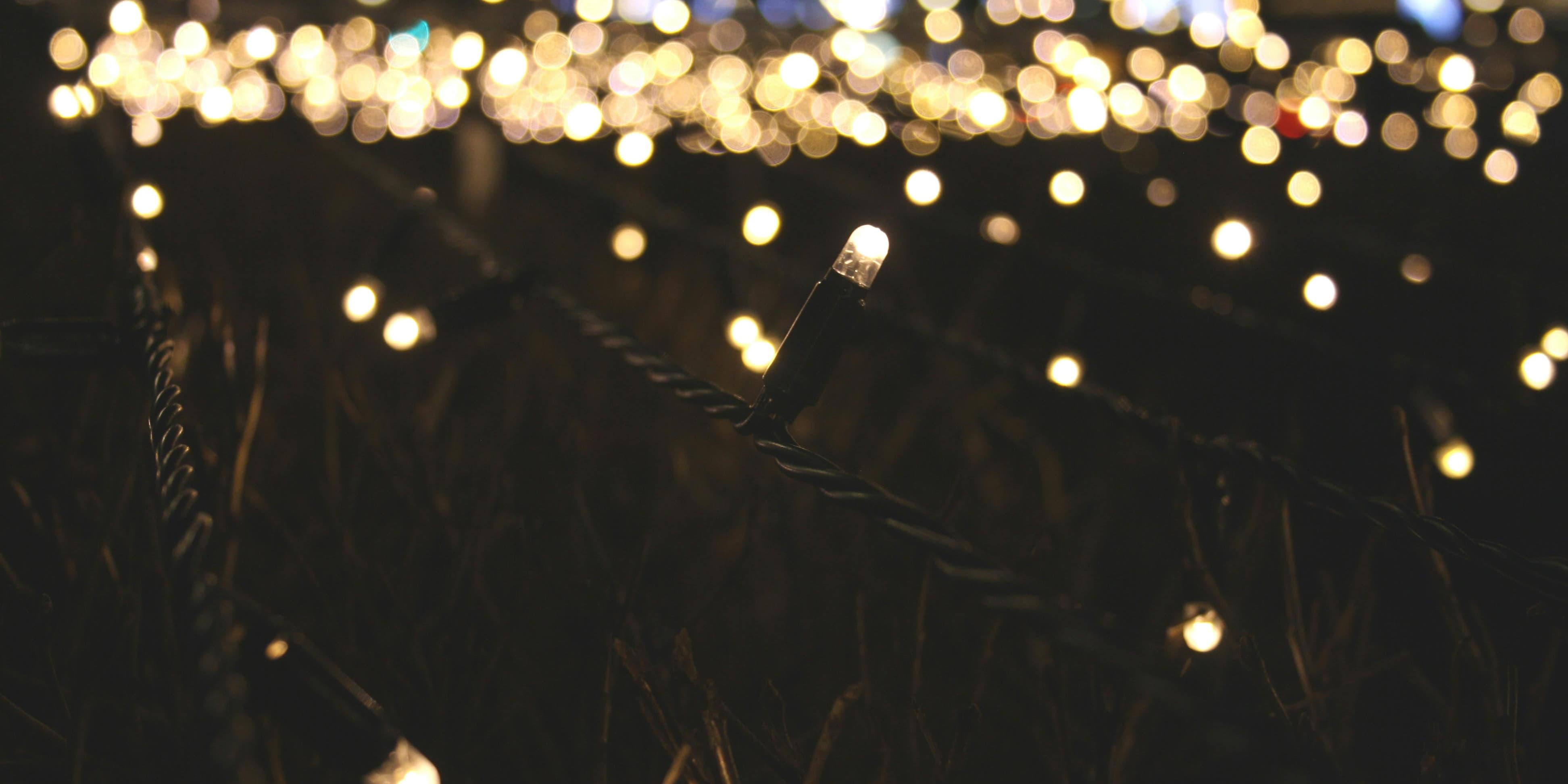collection-banner-image