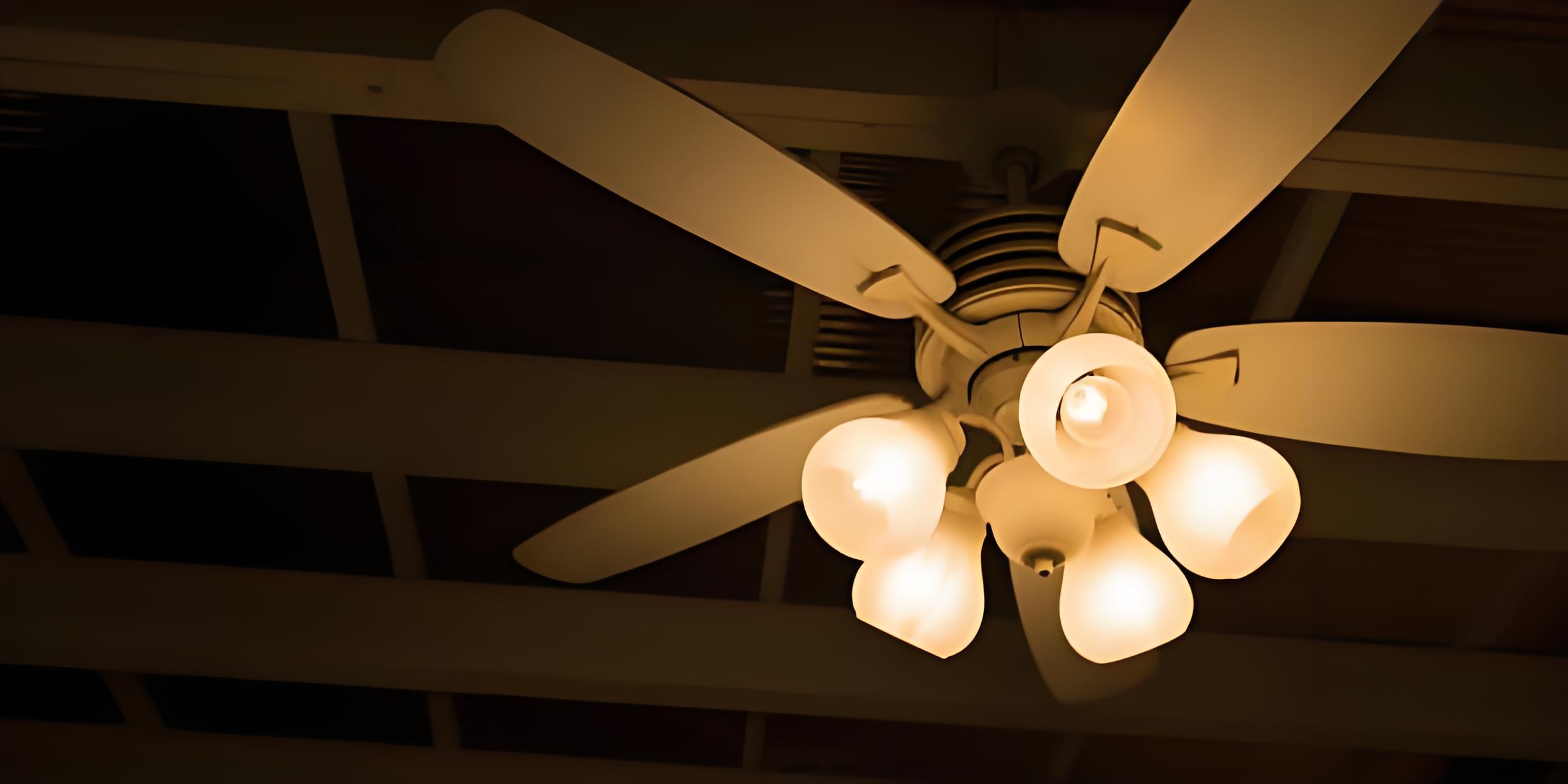 collection-banner-image