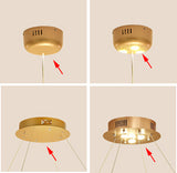 Heracleum chandelier